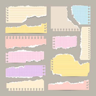 Renkli yırtık defter kağıtları. Yırtılmış kağıt şeritler. Gerçekçi not defterleri, yırtık kenarlı defter sayfası kırıntıları. Vektör illüstrasyonu.