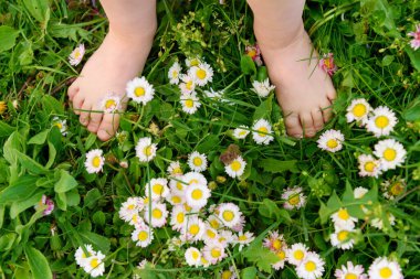 Çocuklar yeşil bir çimenlikte çıplak ayakla dururlar. Çimlerin üzerinde çocuklar.