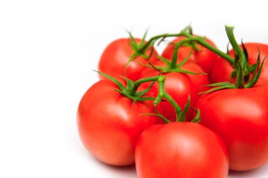 Yeşil yapraklı domates. Sulu kırmızı domatesler beyaz arka planda izole edilmiş. Domatesler büyüdü. Kırmızı domatesler.