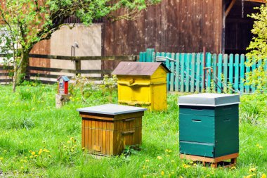 Arı ahşap kanıt açık bahçe çiftliği, bal çıkarma, arı çiftliği