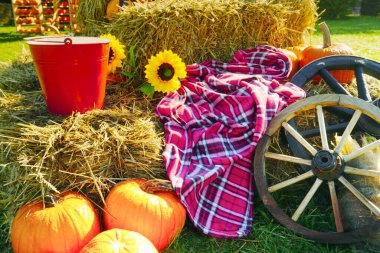 Colorful fall rural composition of pumpkin harvest, hay, flowers, harvest celebrations and a variety of fall festivities. clipart