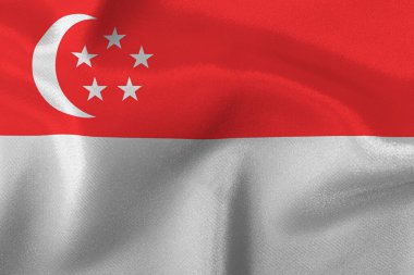 Singapur eyaletinin bayrağı..