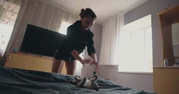 Kvinna Som Har Roligt Leka Med Katt Hemma Aktiva Spel — Stockvideo