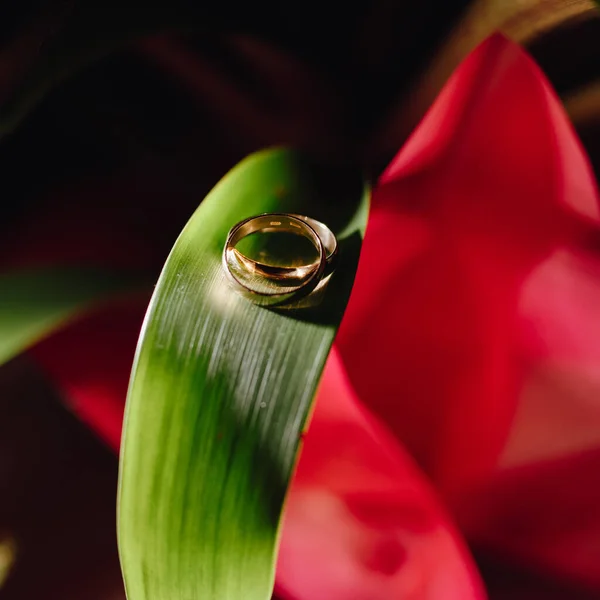 Golden Wedding Rings Flower Leaf — ストック写真