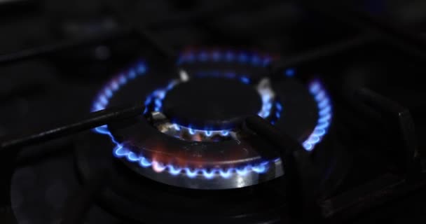 Κουζίνα Αερίου Κουζίνα Closeup Καύση Φλόγας — Αρχείο Βίντεο