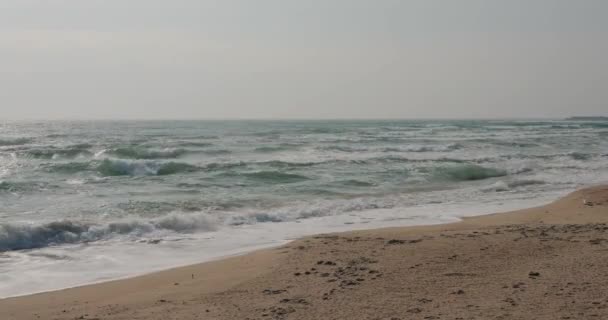 Deniz Dalgalarının Güzel Manzarası Orijinal Ses Dahil — Stok video