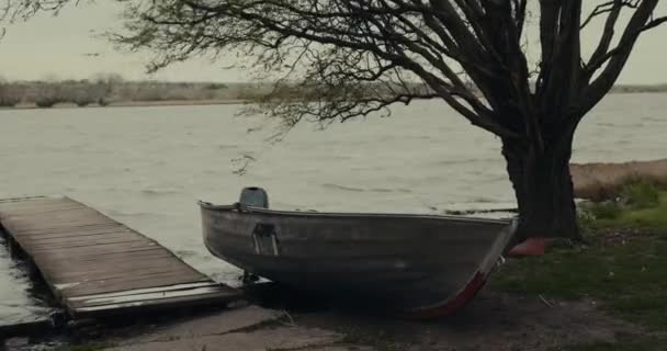 風の強い日に川岸の木の下のボート 元のオーディオが含まれています — ストック動画
