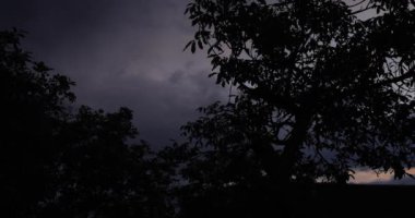 Fırtınalı günde bulutlu gökyüzü ve ağaç silueti