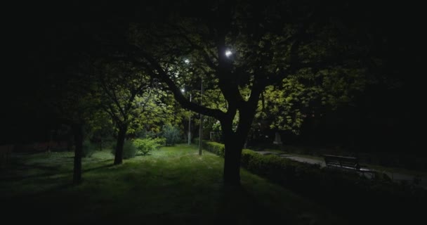 Caminhando Longo Parque Verão Noite Ninguém Redor Steadicam Tiro Áudio — Vídeo de Stock