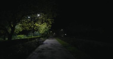 Gece boyunca parkta yürüyorum, etrafta kimse yok, sabit çekim, orijinal ses dahil.