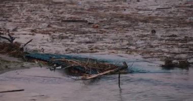 Rus teröristler Ukrayna, Chornomorsk - 9 Haziran 2023 Kakhovskaya hidroelektrik santralinin patlaması sonucu Ukrayna 'daki teknoloji felaketi, çevre kirliliği ve Karadeniz' de yaşandı.