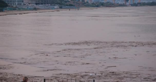 Desastre Tecnogénico Ucrania Contaminación Ambiental Mar Negro Debido Explosión Central — Vídeo de stock