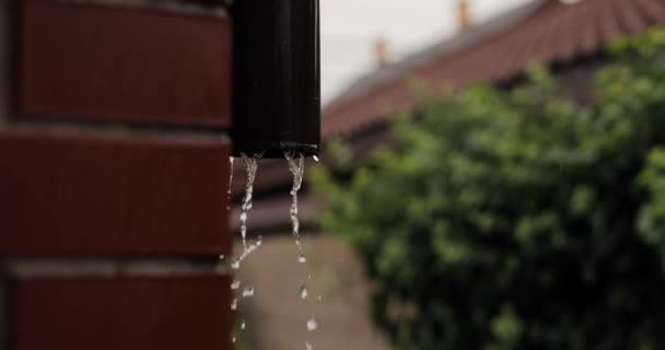 Regen Water Naar Beneden Vallen Van Afvoerpijp Originele Audio Opgenomen — Stockvideo
