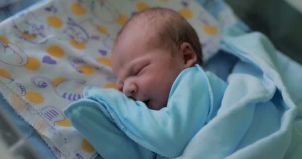 Newborn Baby Lying Cradle Babies Want Eating Maternity Hospital — Stock Video