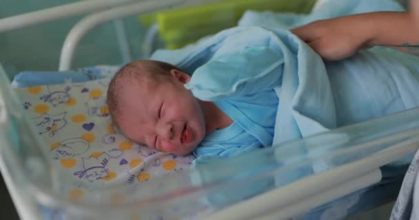 Una Madre Scuote Suo Bambino Una Culla Neonati Nell Ospedale — Video Stock