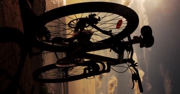日出时在海上背景下的自行车轮廓 垂直视频 — 图库视频影像