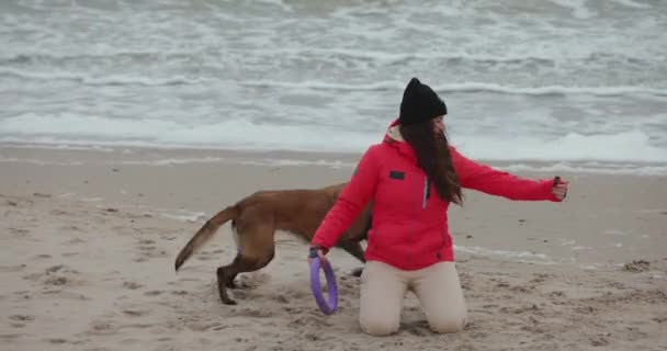 Жінка Своїм Собакою Грає Пульвером Морському Пляжі — стокове відео