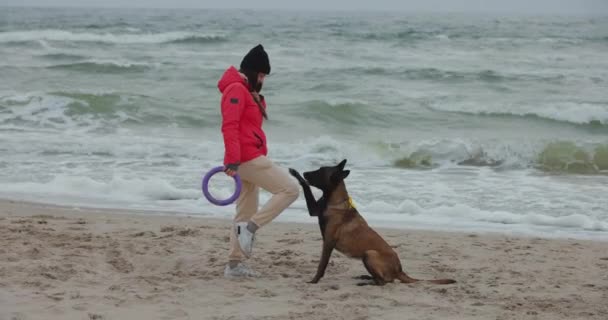 Жінка Своїм Собакою Грає Пульвером Морському Пляжі — стокове відео
