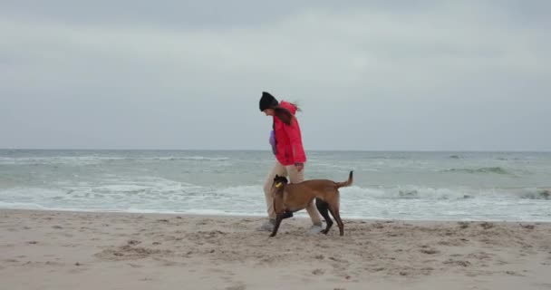Woman Her Dog Play Puller Sea Beach — Stock Video