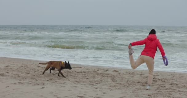 Žena Svým Psem Hraje Tahačem Mořské Pláži Zpomaluje — Stock video