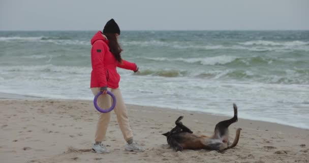 Woman Her Dog Play Puller Sea Beach Slow Motion — Stock Video