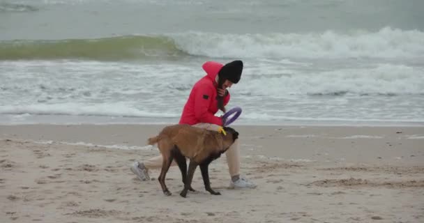 Woman Her Dog Play Puller Sea Beach — Stock Video