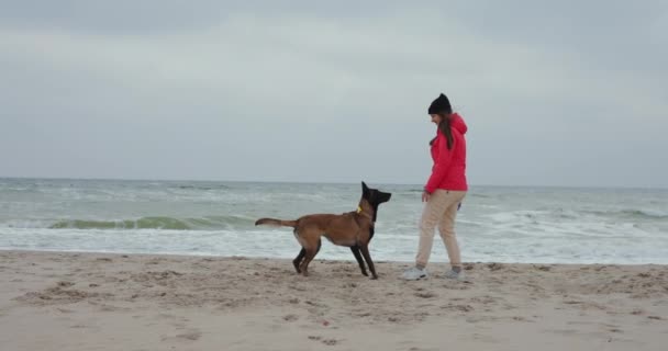Жінка Своїм Собакою Грає Пульвером Морському Пляжі Повільний Рух — стокове відео