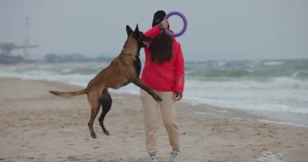 Жінка Своїм Собакою Грає Пульвером Морському Пляжі Повільний Рух — стокове відео