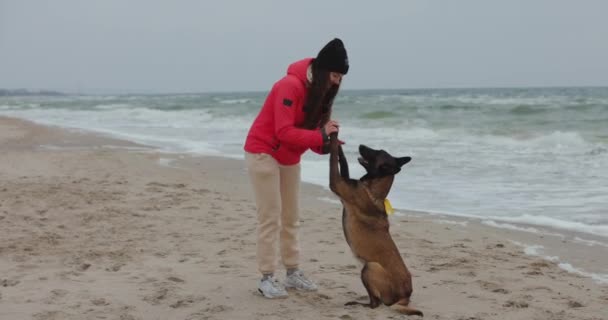 Köpeğiyle Sahil Kenarında Oynayan Bir Kadın Patisini Uzatıyor — Stok video