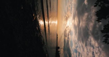 Denizde gün batımı, ön planda ağaç silueti, dikey sabit görüntü.