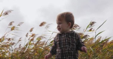 Rüzgarda kamışların başında duran çocuğun yavaş hareketi.