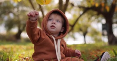 Yavaş çekim, bir çocuk oturuyor ve doğada sonbahar sarı bir yaprak tutuyor.