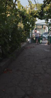 Çöpleri atmak ve avluda turbo vantilatör ve dikey video ile bırakmak.