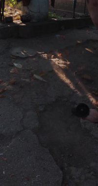 Çöpleri atmak ve avluda turbo vantilatör ve dikey video ile bırakmak.