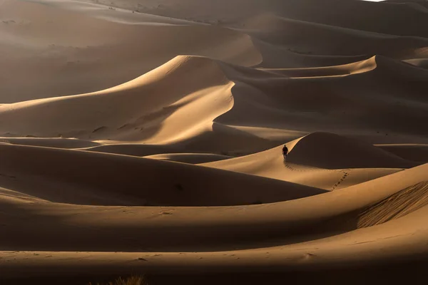 Чоловік Ходить Піщаних Пустельних Дюнах — стокове фото