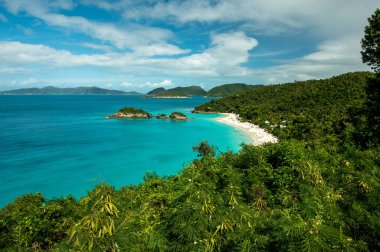 Trunk Bay St. John US Virgin Island