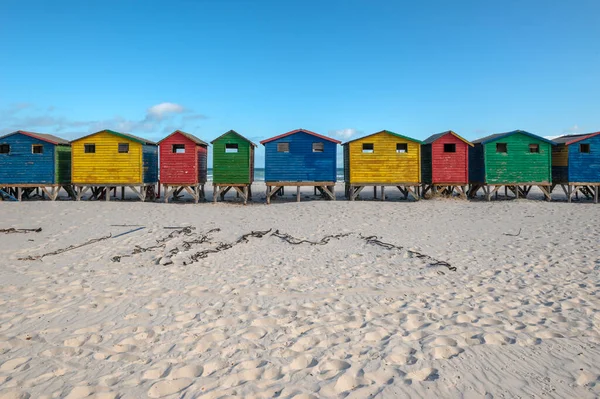Stranden Muizenberg Surfare Stranden Sydafrika — Stockfoto