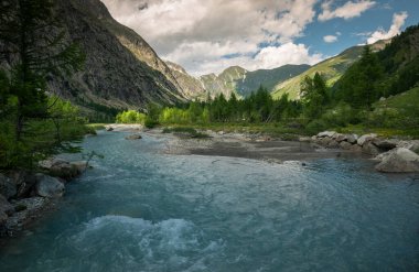 Courmayeur, İtalya yakınlarındaki Gelincik Vadisi