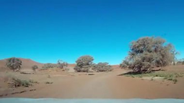 Kalahari çölünde Safari, Namibya