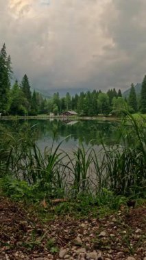 Ormanda Welsperg Gölü, Dolomites Dağı, İtalya