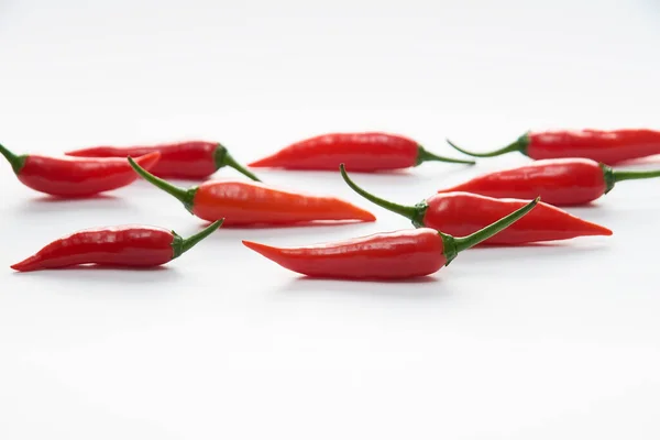 Röd Varm Chili Paprika Vit Bakgrund — Stockfoto