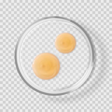 Şampuanlı cam petri kabı izole edilmiş gerçekçi vektör çizimini düşürür. Laboratuvar testleri ve araştırma cilt kozmetik ürünleri