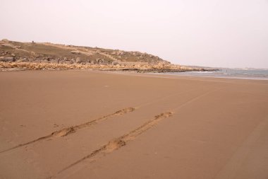 Hazar Denizi kıyısındaki arabanın izleri..