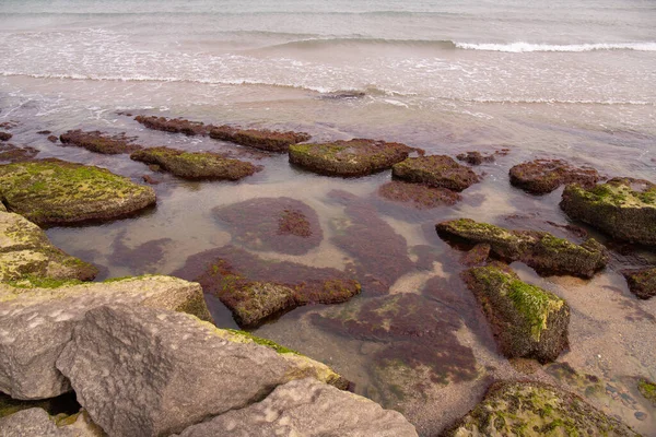 里海美丽的岩石海岸 — 图库照片