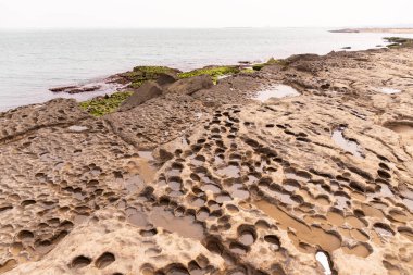 Hazar Denizi 'nin güzel yeşil kayaları.
