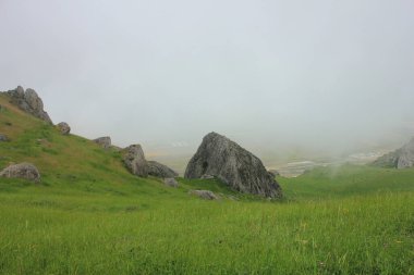 Beşamel Dağı 'nın yanındaki yeşil dağlarda. Bakü. Azerbaycan.