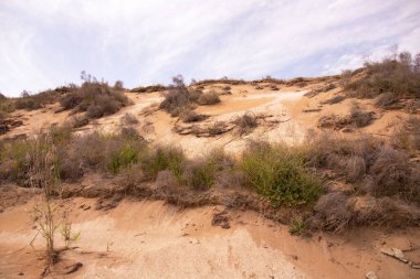 Hazar Denizi 'nin vahşi kıyıları ve kızıl kumlar. Azerbaycan.
