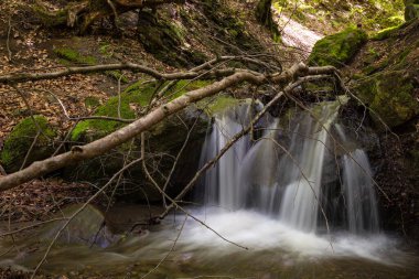 Ormandan geçen hızlı nehir..