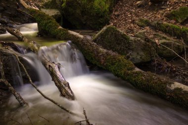 Ormandan geçen hızlı nehir..