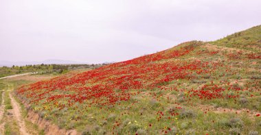 Bakü. Azerbaycan. 04.16.2021. Güneşin doğuşunda üç güverteli güzel yat.